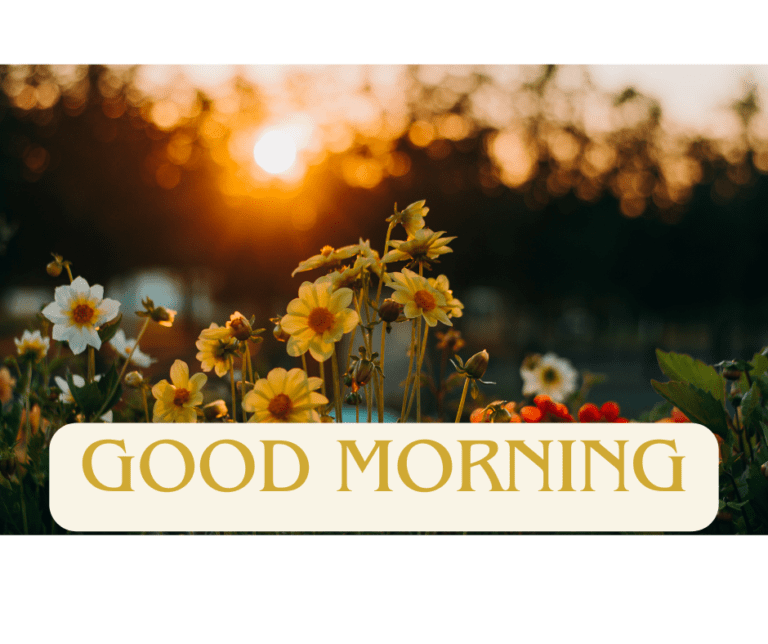 good morning with yellow flowers,Special Beautiful good morning images