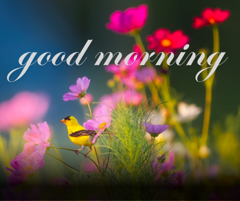 good morning quotes in hindi