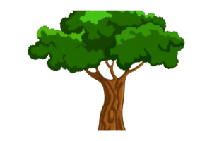 clipart mango tree png