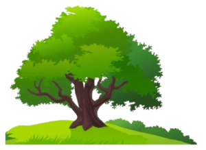 mango tree png cartoon