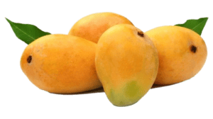 real yellow mango free png