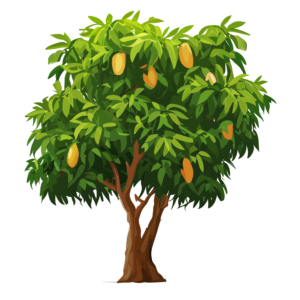 transparent mango tree png