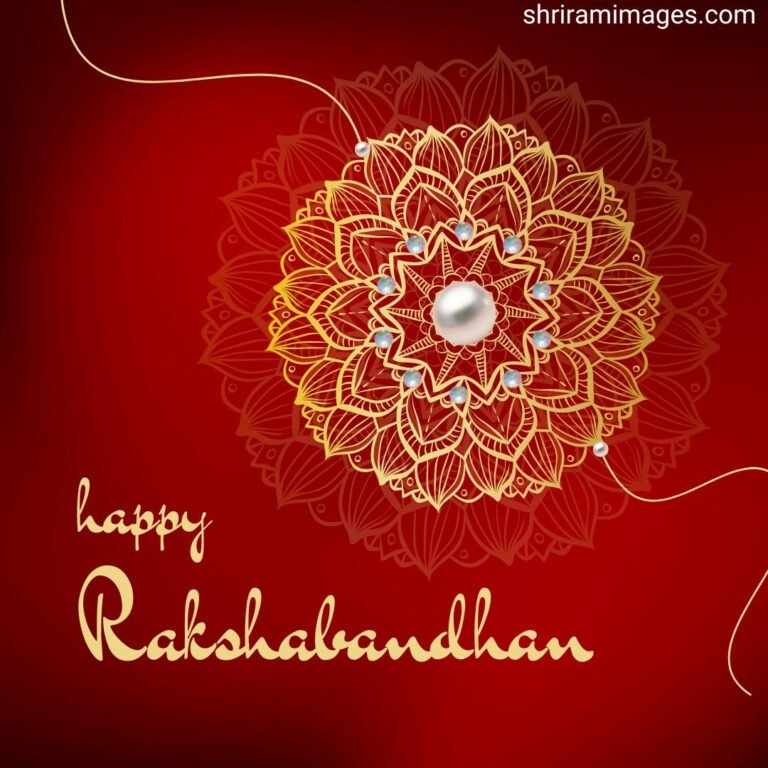 animated cartoon raksha bandhan images
